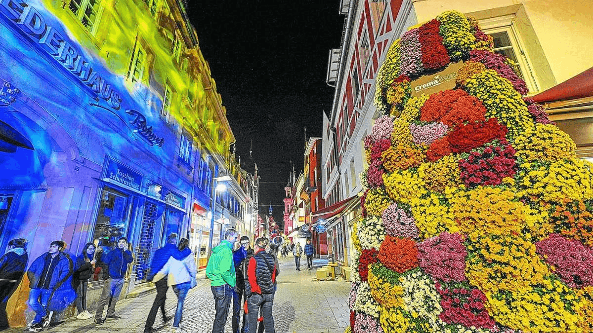 Chrysanthema Lahr – Ein Blütenmeer voller Farben — photo 3